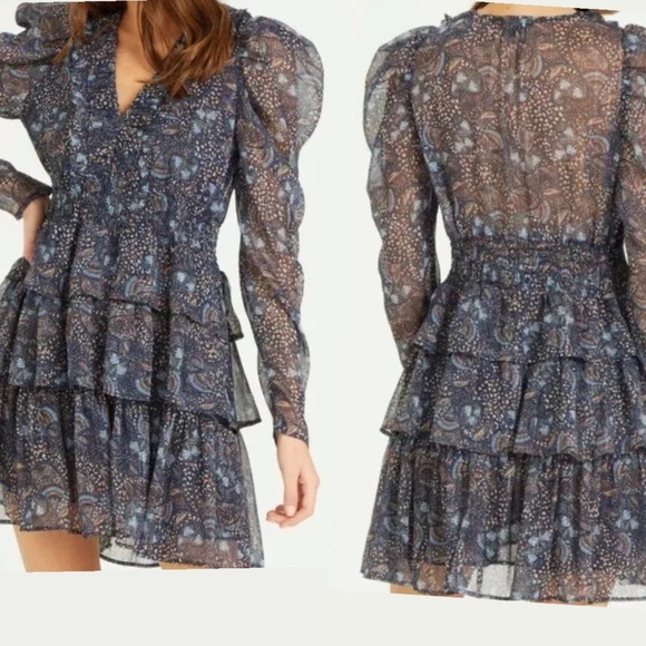 Dear John ADALYN TIERED SKIRT DRESS FEATHERED PAISLEY Size Small - Picture 1 of 10